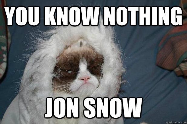 odd_you_know_nothing_jon_snow_zps1d997fa5.jpg