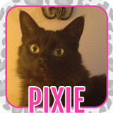 pixie