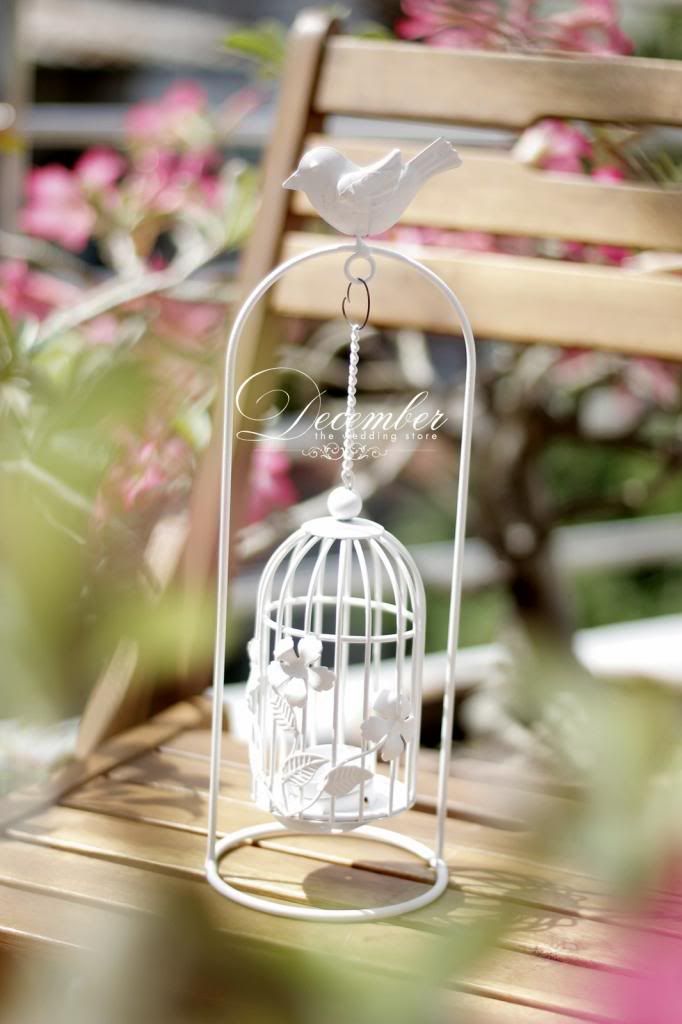 Decmber Wedding Store - Chuyên cho thuê các sản phẩm trang trí tiệc cưới và chụp hình - 31