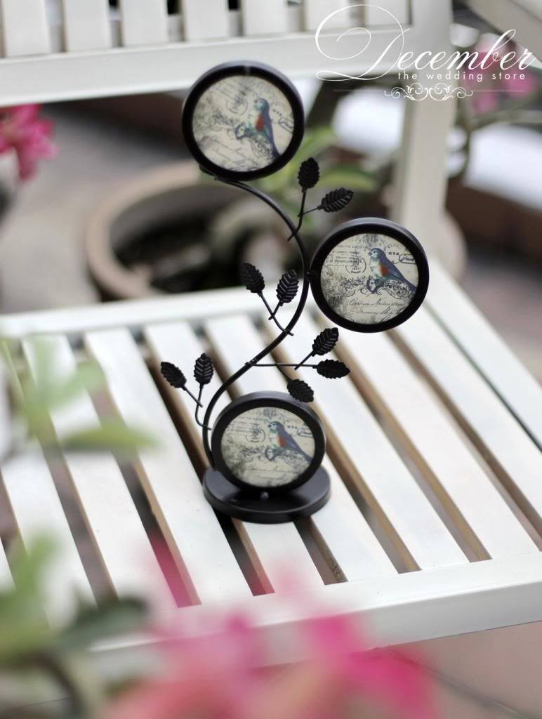 Decmber Wedding Store - Chuyên cho thuê các sản phẩm trang trí tiệc cưới và chụp hình - 30