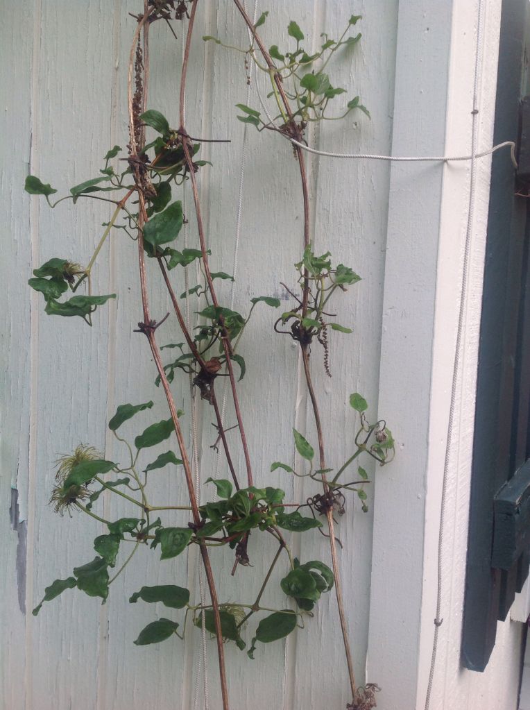 Photobucket Pictures, Images and Photos