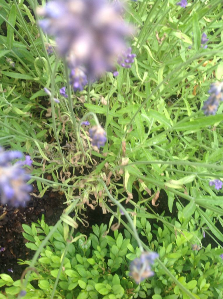 Photobucket Pictures, Images and Photos