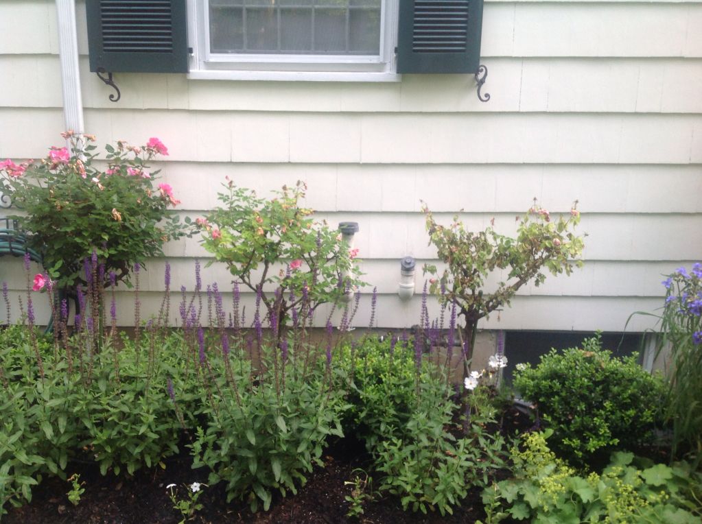 Photobucket Pictures, Images and Photos