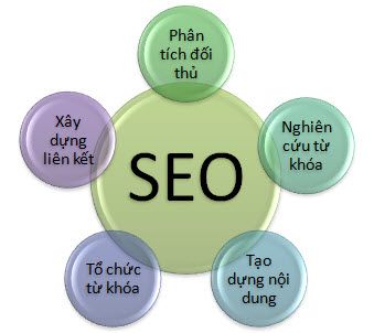 Học Seo