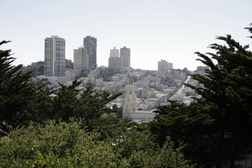 IMAGE: http://i1278.photobucket.com/albums/y510/robfontelera78/Club%20Shots/_MG_9125.jpg