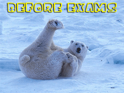 Exams Mood photo Polar-Bear_exams_zpsa3592112.gif