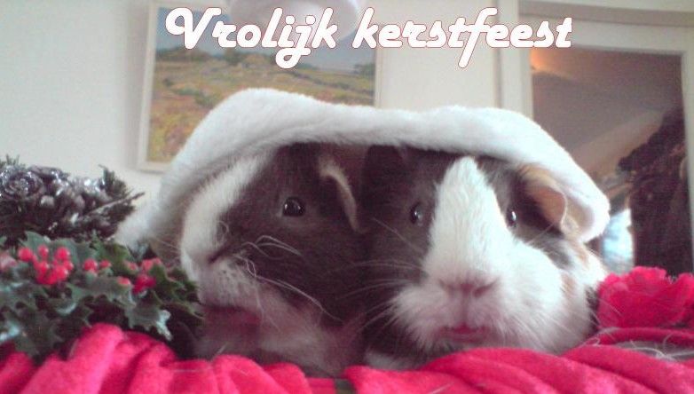 Fotografie