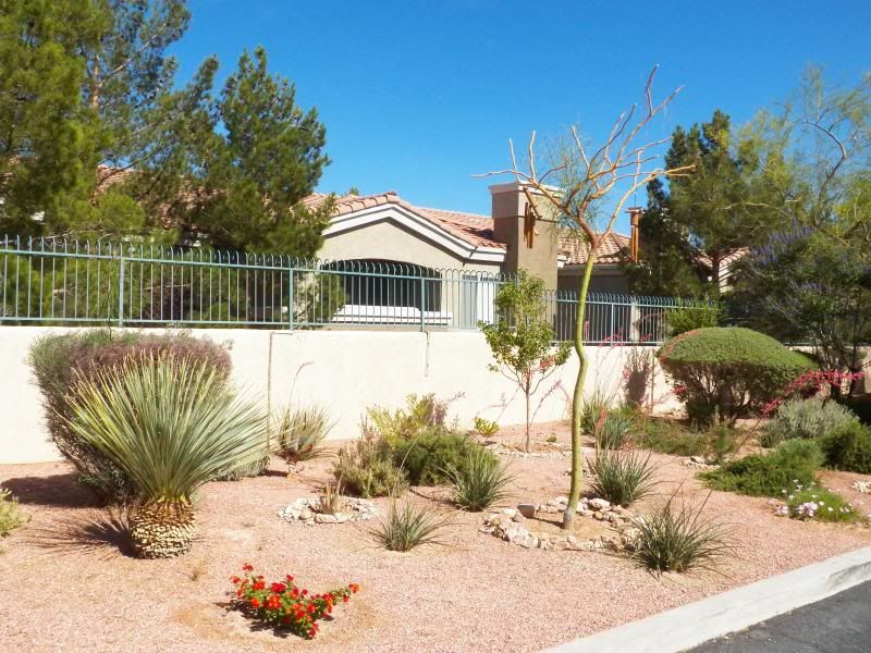 Xericscaping Las Vegas native plants Nevada (NV) Page 4 CityData