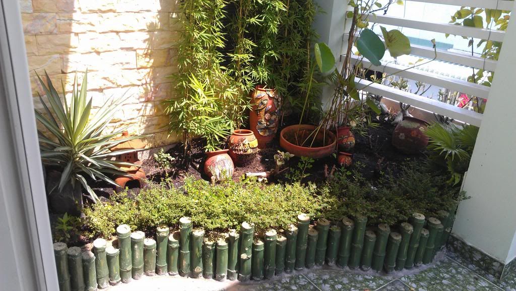 Bán Gấp Nhà  Đường số 12, Gần  Lò Thiêu Bình Hưng Hòa , Tân Kỳ Tân Quý ( Có ảnh thật) - 20