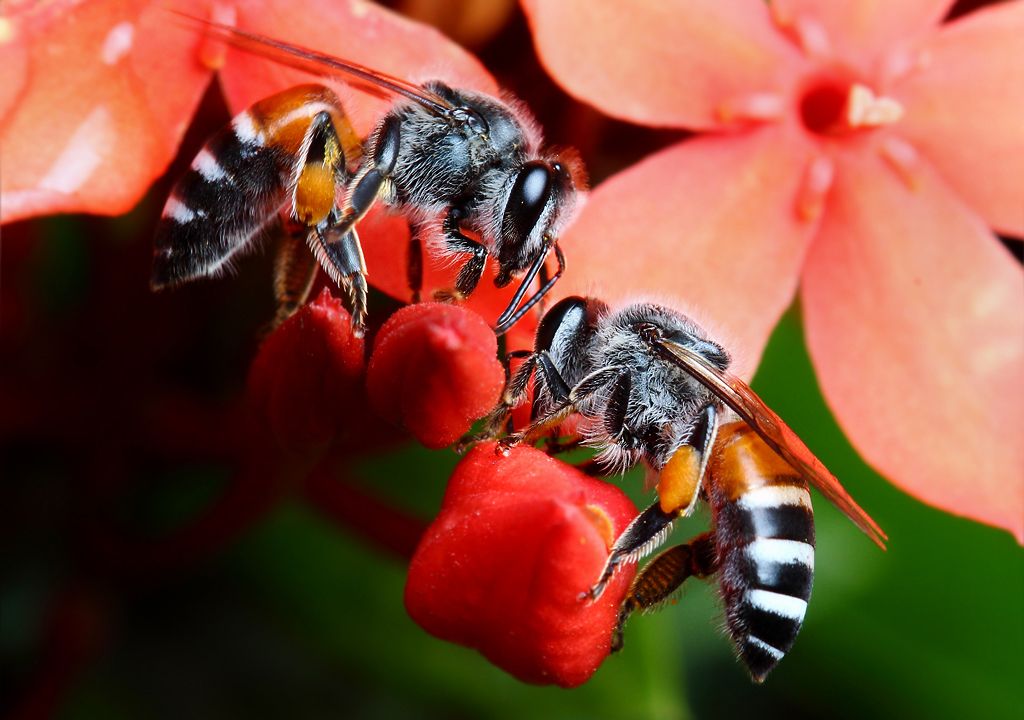 IMAGE: http://i1278.photobucket.com/albums/y513/PIXPHATIC/_MG_4776_zpsbyqacd3x.jpg