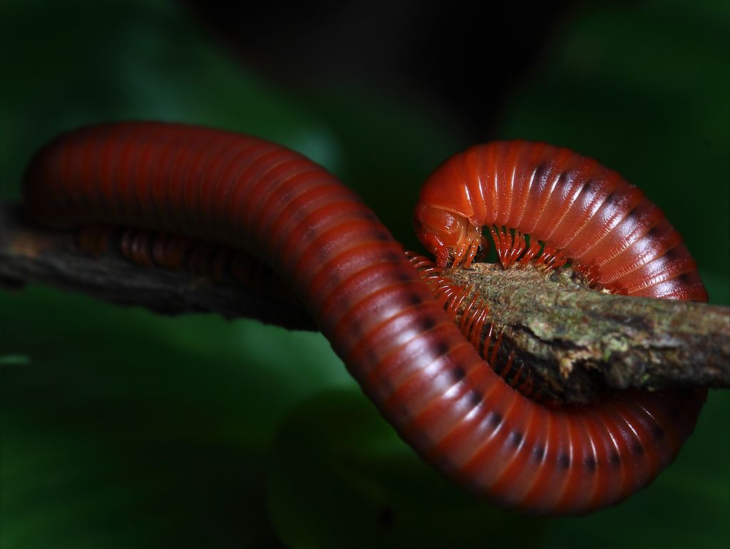 IMAGE: http://i1278.photobucket.com/albums/y513/PIXPHATIC/_MG_4782_zpswgqrhrrp.jpg