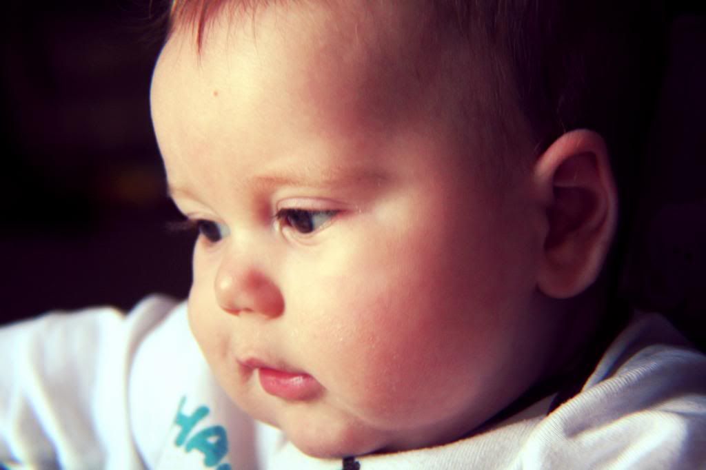 IMAGE: http://i1278.photobucket.com/albums/y513/lmhillyer82/c8c5884f-9cb2-4aee-9dd7-b3f5b001238e_zps83b1209f.jpg