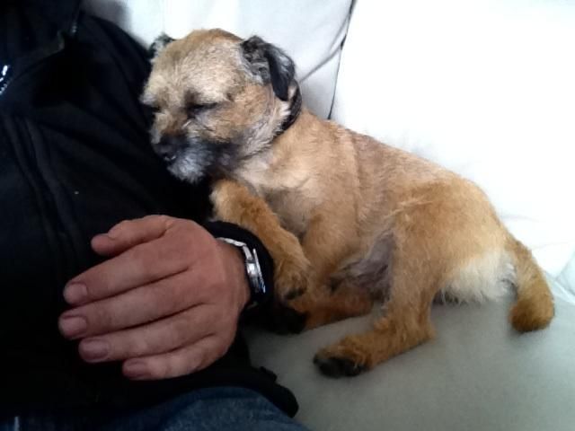 e8eab170-442f-4dd3-8728-32e6eb5079ac_zpsfebcc38f.jpg~original