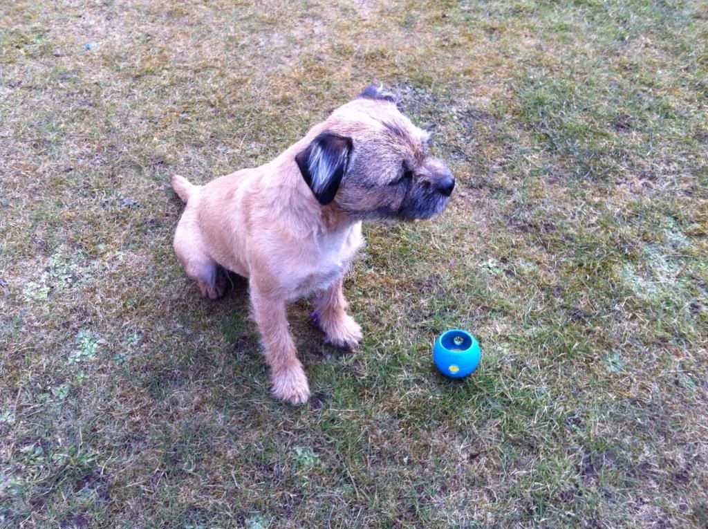 image_zps80ec94d5.jpg~original