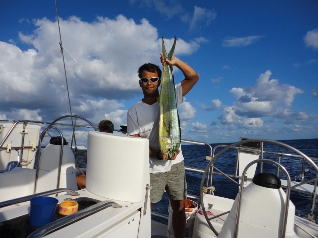 DSC01194_zps23329158.jpg