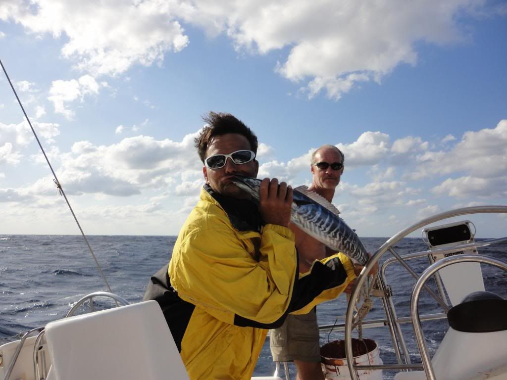 DSC01213_zps021cc891.jpg