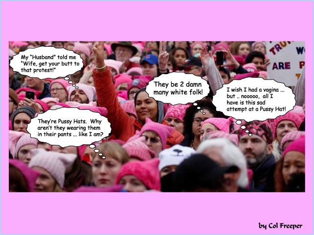 Pink Hat March photo Pussy-Hat-March_zps2qom0g6o.jpg