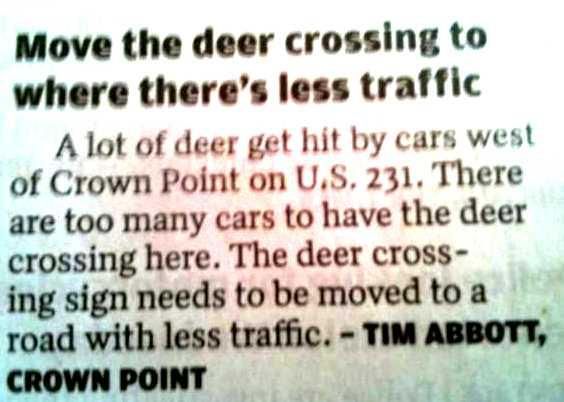 deer-crossing_zps1192413b.jpg