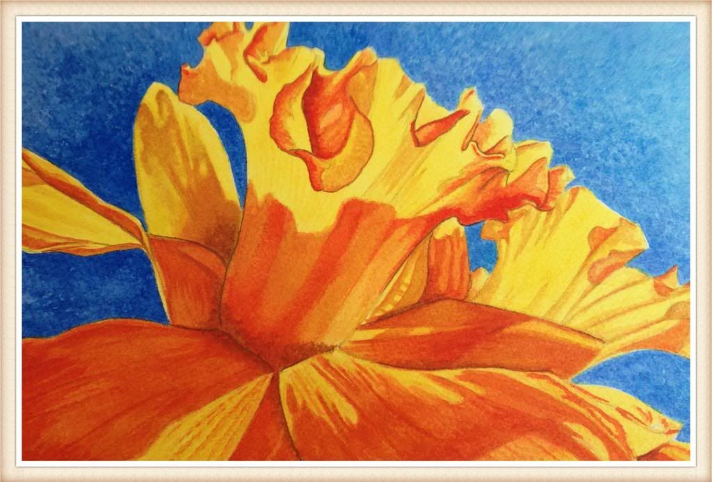 SadiesDaffodils_zpsa73b96f9.jpg