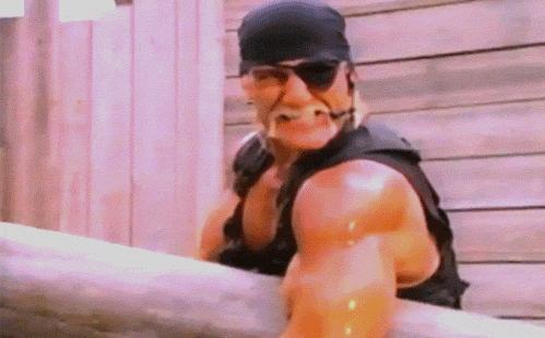 photo hulk-hogan-pole-slam-army-guys-13585298096_zps779c4e66.gif