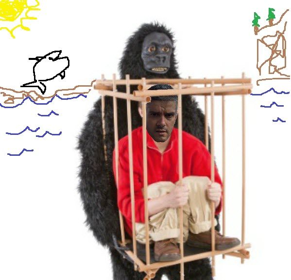 a99112_man-in-a-gorilla-cage-costume%20-