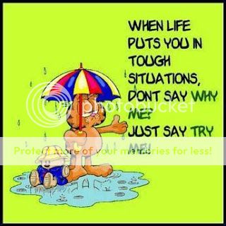 funny quotes photo: Funny Quote funnylifequotes2_zps3acd3299.jpg