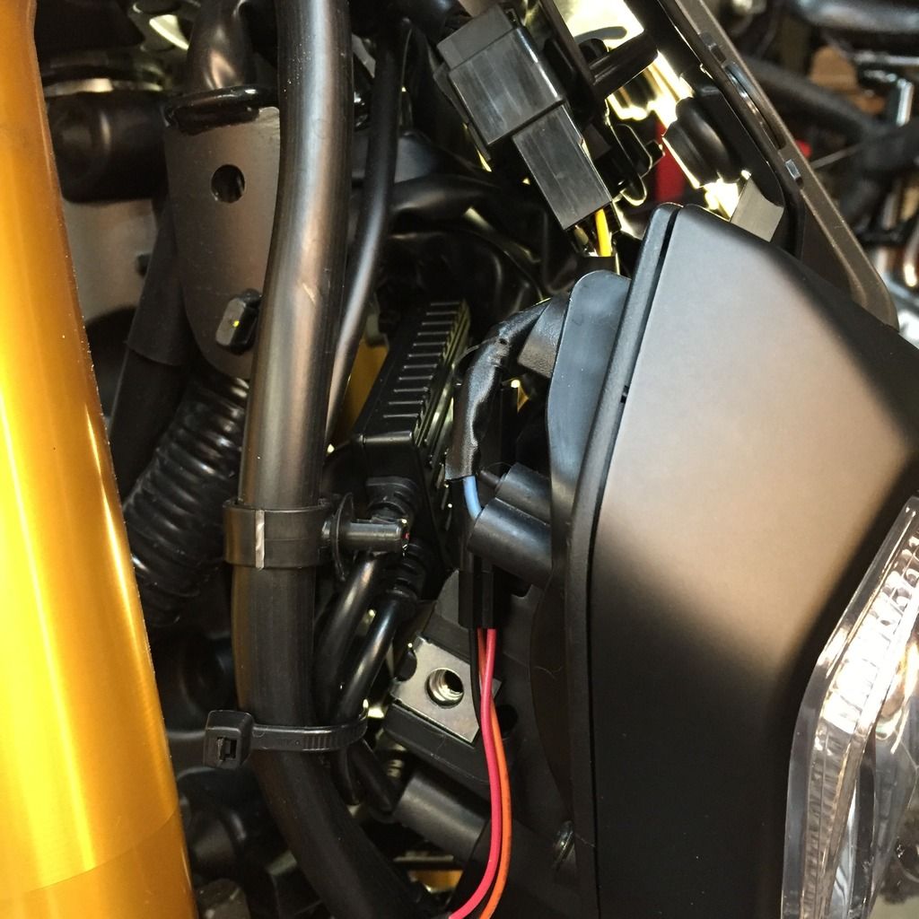 Tripage Gold Led Headlight