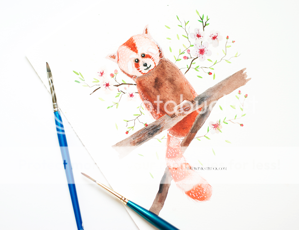 red panda illustration tutorial