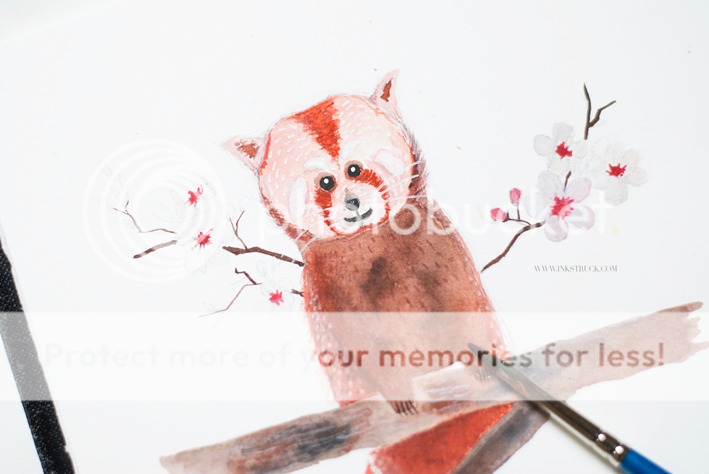 red panda illustration tutorial